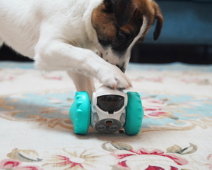 Cat and Dog Slow Food Interactive Balance Car