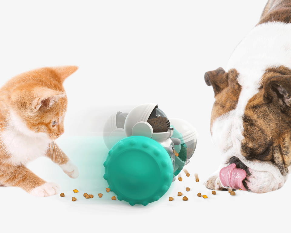 Cat and Dog Slow Food Interactive Balance Car