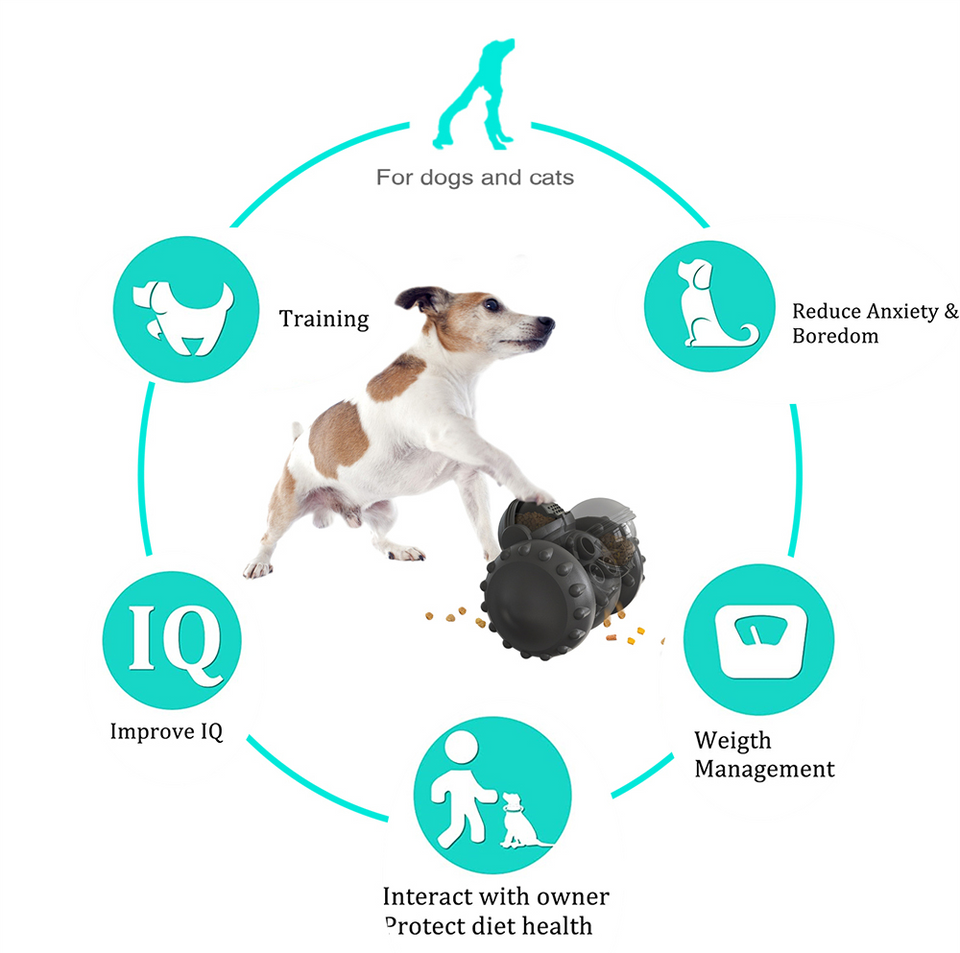 Cat and Dog Slow Food Interactive Balance Car